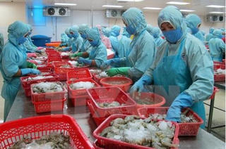 Kim ngạch xuất khẩu thủy sản tăng 15,6% trong tháng 1
