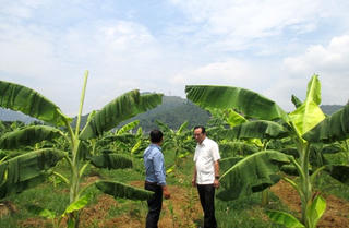 Ghi từ một hợp tác xã kiểu mới