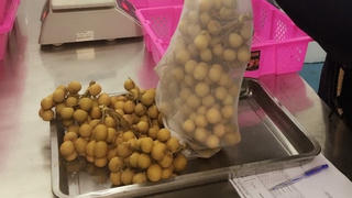 Tìm kiếm thị trường mới cho trái cây