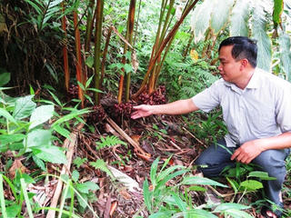 Ghi ở thôn triệu phú­