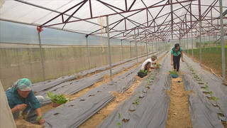 Đổi mới cơ chế tài chính trong Chương trình mục tiêu quốc gia giảm nghèo: Người nghèo cùng tham gia góp vốn