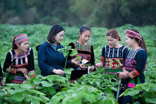 Giảm khoảng cách giới trong cộng đồng dân tộc thiểu số
