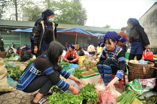 Một lần đến Y Tý