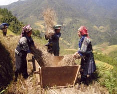 Mù Cang Chải: Nỗ lực xóa nghèo