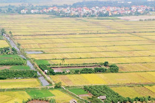 Bài 2: Nan giải mức giá bồi thường