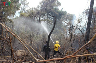 Cháy rừng đặc dụng Nam Hải Vân