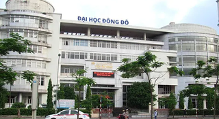 Ai dùng bằng giả?