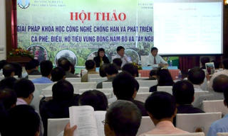 Tìm giải pháp chống hạn và phát triển bền vững cà phê, hồ tiêu, điều vùng Đông Nam bộ và Tây Nguyên