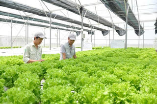 Nghệ An: Nhân dân đóng góp hơn 9.200 tỷ đồng xây dựng nông thôn mới