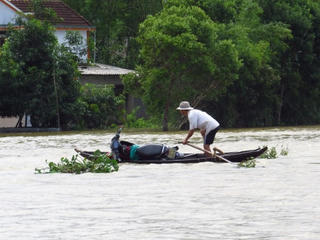 Gồng mình trong lũ dữ