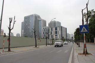 Hà Nội: Xót xa hàng chục cây xanh chết khô trên đường Trương Công Giai