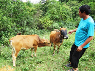 Thoát nghèo nơi 'gối đỡ' Tây Bắc