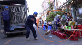 Ý kiến trái chiều từ việc bắt giữ chó thả rông