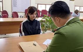 Lời khai của đối tượng trong đường dây mang thai hộ với giá nửa tỷ đồng