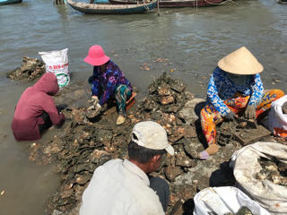 Giữa mênh mông sóng nước