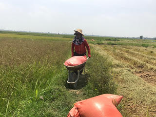 Mưu sinh mùa nắng nóng