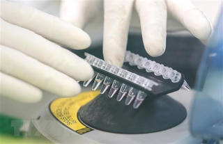 Mỹ đang thử nghiệm ít nhất 14 loại vaccin chống virus SARS-CoV-2