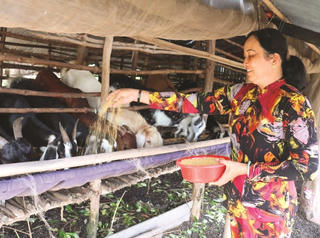 Tăng tốc giải ngân Chương trình Mục tiêu quốc gia để chăm lo đời sống đồng bào dân tộc thiểu số