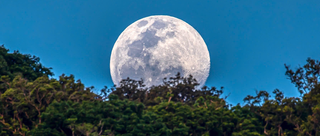 Vẻ đẹp kỳ vỹ của 'báu vật' Đà Nẵng - bán đảo Sơn Trà