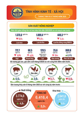 Infographics: Tình hình kinh tế - xã hội tháng 8 và 8 tháng năm 2025