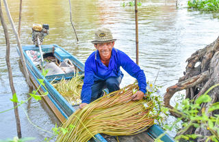 Mưu sinh trên đồng nước nổi