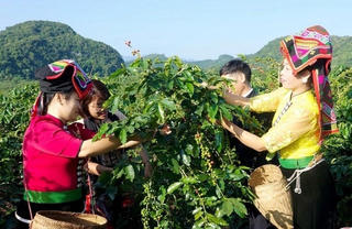 Sơn La: Tích cực giải quyết đất ở, đất sản xuất cho đồng bào dân tộc thiểu số