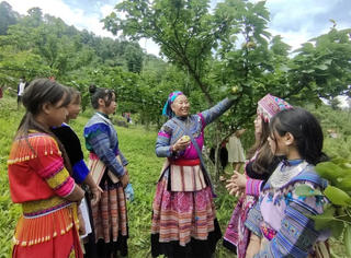 Tiếp tục nâng cao đời sống đồng bào dân tộc thiểu số và miền núi