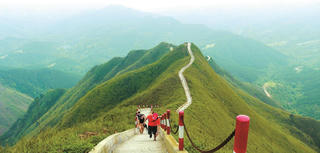 Đi qua những rừng hồi Bình Liêu  