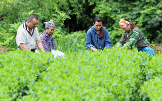 Chương trình Mục tiêu quốc gia 1719 góp phần thu hẹp khoảng cách phát triển vùng đồng bào dân tộc thiểu số