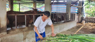 Giảm nghèo giai đoạn 2026-2035: Chuyển đổi tư duy từ giảm nghèo sang làm giàu bền vững Bài cuối: Đích đến là giảm nghèo thực chất