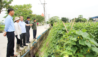 Đề nghị MTTQ Việt Nam giám sát việc thực hiện Nghị quyết 1796