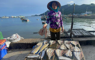 Nghề câu cá bè trang trên biển Tây Nam
 