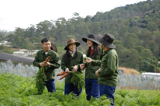 Xử lý nghiêm các KOL vi phạm pháp luật trên không gian mạng 