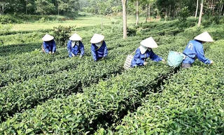 Hướng tới sự phát triển bền vững và toàn diện vùng đồng bào dân tộc thiểu số và miền núi