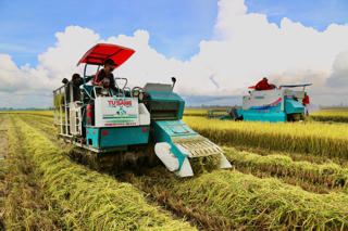 Làm lúa phát thải thấp: Vụ Hè thu nông dân lợi nhuận lên đến 36,3 triệu đồng/ha