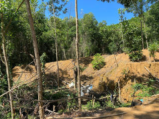 Truy quét nạn khai thác vàng trái phép