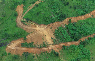 Gia Lai: Kiểm tra vụ sườn núi Chư Nâm bị san ủi đất