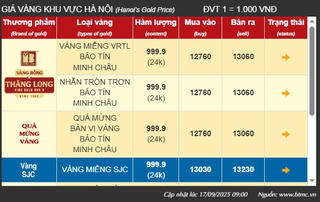 Giá vàng miếng và vàng nhẫn trong nước tăng nhẹ 