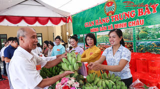 Hà Nội: Nông dân Minh Châu khởi động hướng tới xây dựng nền nông nghiệp thông minh