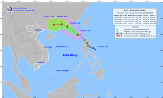 Ứng phó với bão số 8 trên biển Đông