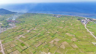 Quảng Ngãi: Đề xuất đầu tư 250 tỷ đồng thu gom, trữ nước mưa tại đặc khu Lý Sơn