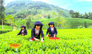 Vùng kinh tế đặc biệt khó khăn: Cần cơ chế hỗ trợ doanh nghiệp sử dụng lao động người dân tộc thiểu số