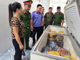 Nghệ An: Khởi tố đối tượng giết mổ, bán thịt lợn nhiễm dịch bệnh