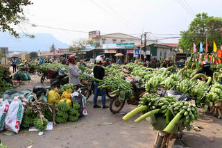 Quảng Trị: Chuyển ‘chợ chuối Tân Long’ đến địa điểm tạm thời