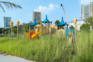 Hà Nội: Cỏ lấp lối đi tại công viên, hồ điều hòa hơn 700 tỷ đồng