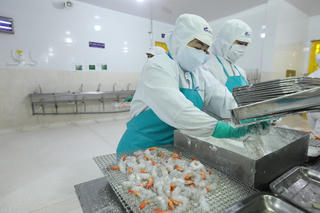 Cơ hội lớn cho tôm xuất khẩu