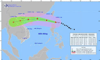 Bộ GDĐT chỉ đạo lên phương án ứng phó bão số 9, sẵn sàng tạm hoãn lịch học