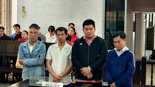 Đắk Lắk: Xét xử nhóm đối tượng dùng hóa chất cấm sản xuất giá đỗ