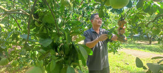 Yên Trị: Từ lo thoát nghèo đến đưa nông sản vươn tầm thế giới