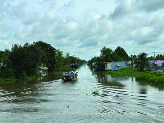  Xuôi dòng sông Hậu 